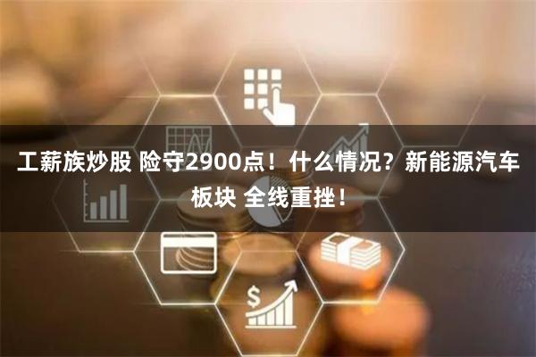 工薪族炒股 险守2900点！什么情况？新能源汽车板块 全线重挫！